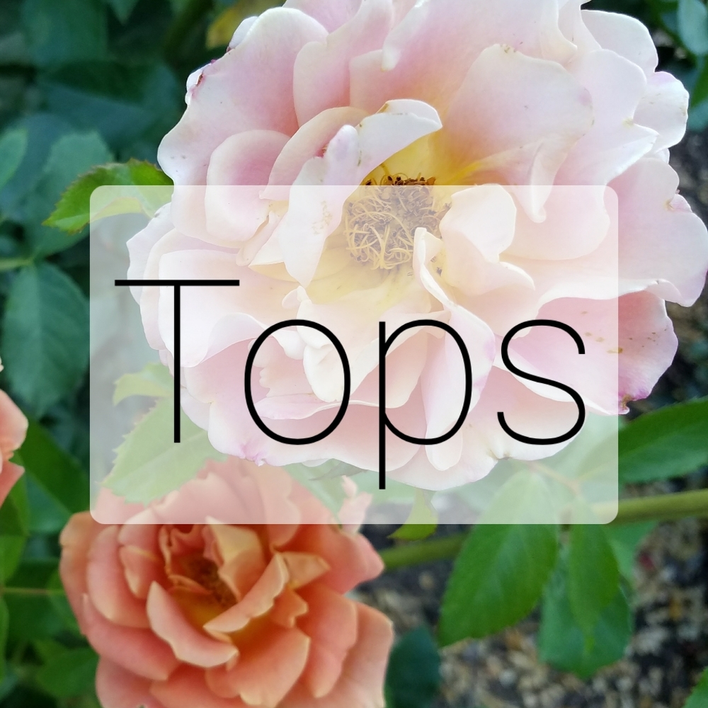 🌸 New listings - Tops 🌸